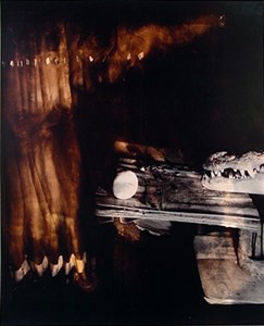 Image description is not available for 1996.070